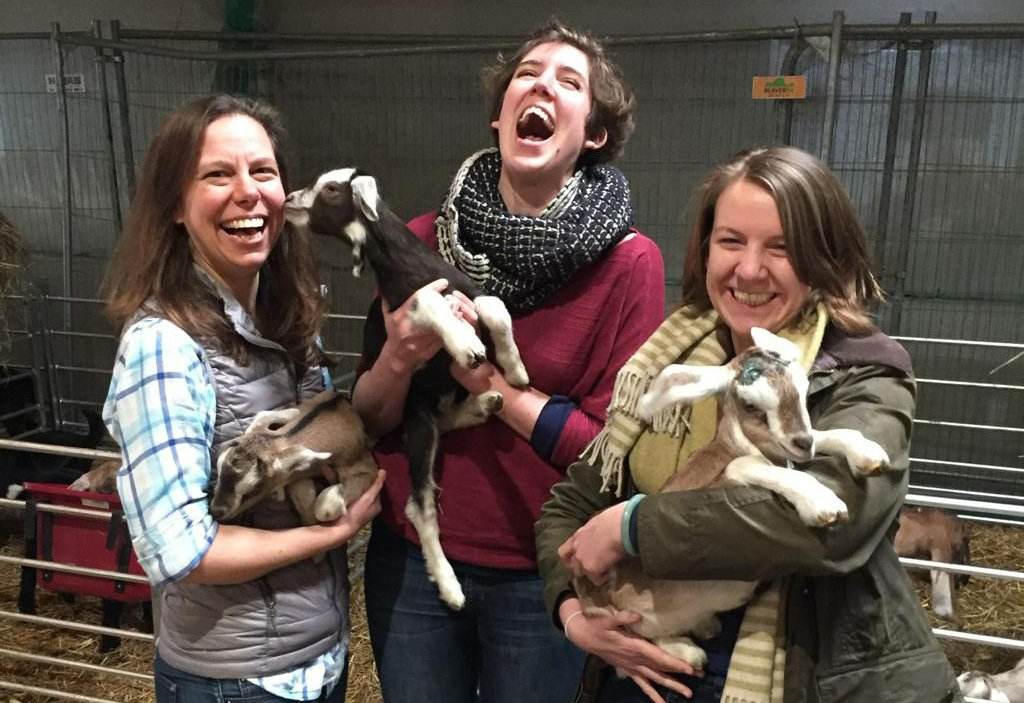 Three women laughing with baby goats