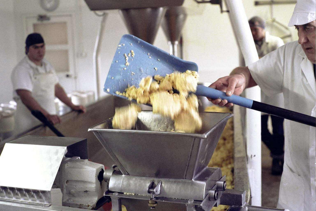 Cheshire cheese being milled by cheesemaker Garry Gray 