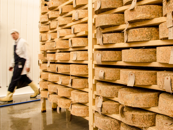 Cheesemonger walks in background, wheels of cheese maturing on shelves in foreground