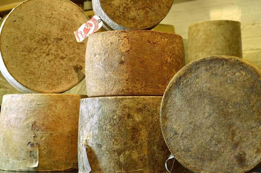 Wheels of Cheddar cheese at our Borough Market Shop