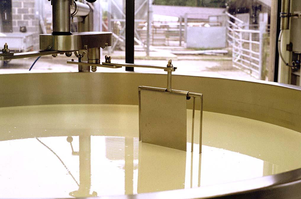 Milk in the vat at Holden Farm Dairy, where Hafod is made