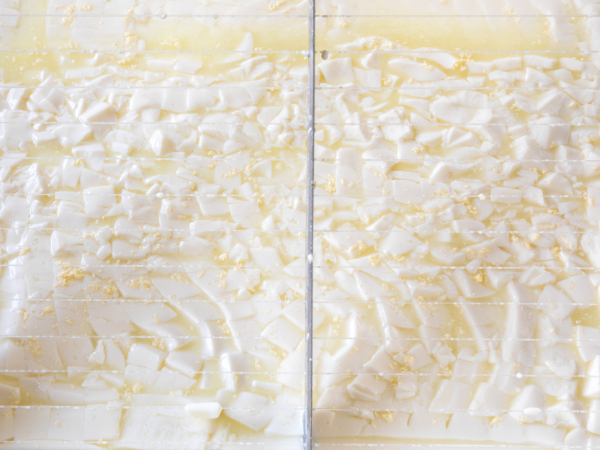 white curds and yellow whey in a vat