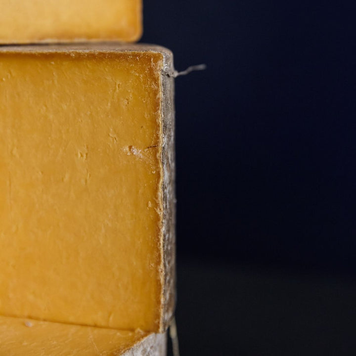 Close up of a cut wheel Appleby’s Cheshire cheese showing cloth-bound casing and orange-coloured paste