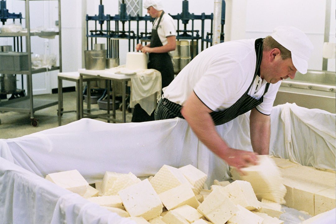 our-work: Graham Kirkham turning blocks of curd in the vat