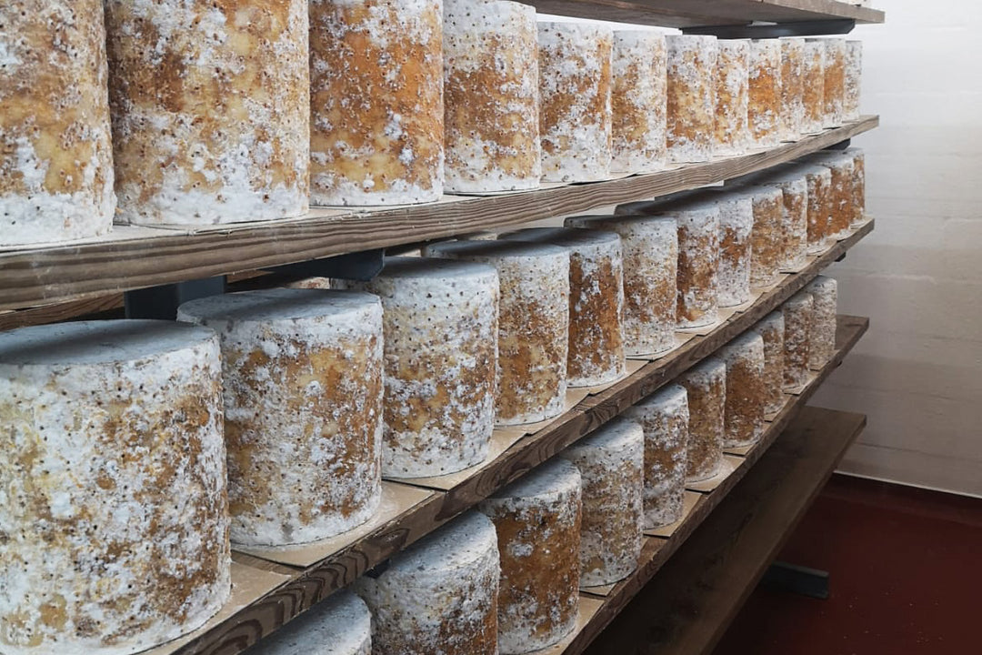 our-work: Colston Bassett Stilton in the maturing arches at Colston Bassett Dairy