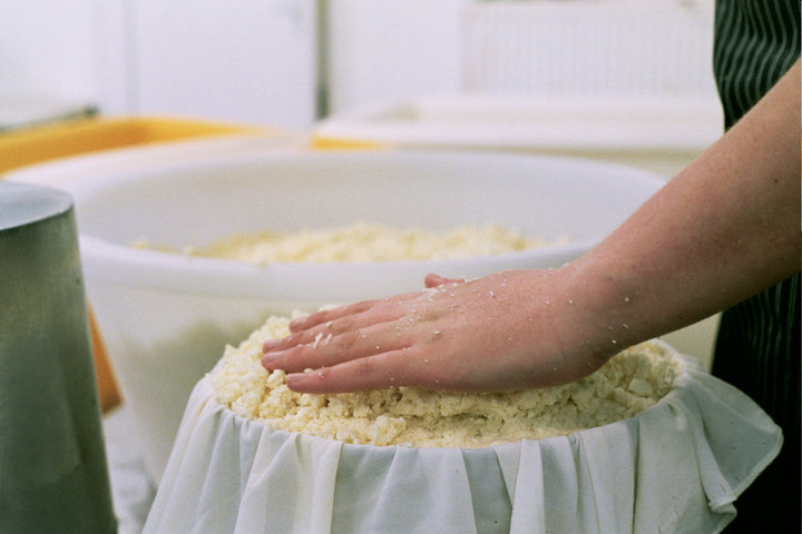 our-work: Filling the Kirkham's Lancashire cheese moulds with curds